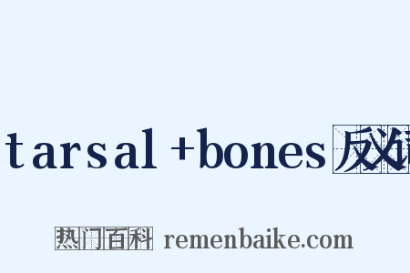 tarsal+bones反义词是什么意思的图片